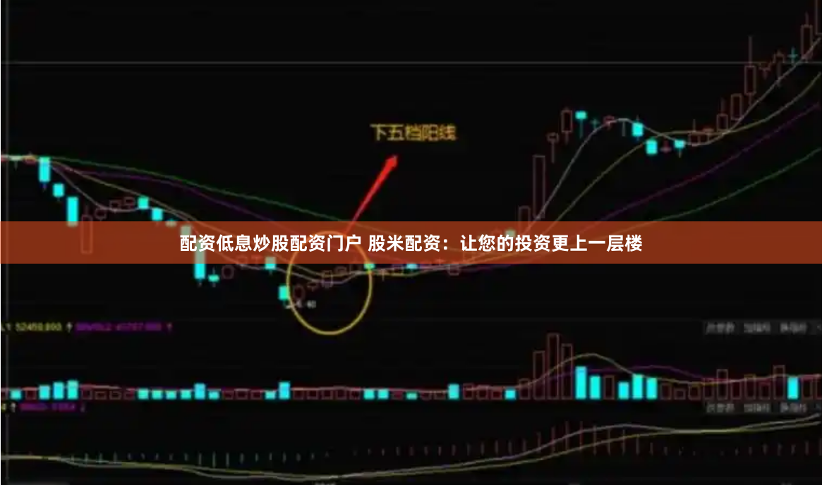 配资低息炒股配资门户 股米配资：让您的投资更上一层楼