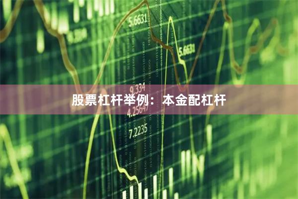 股票杠杆举例：本金配杠杆